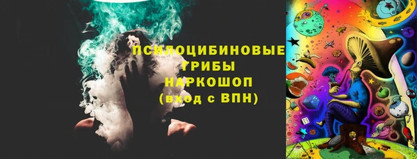 PSILOCYBIN Горнозаводск