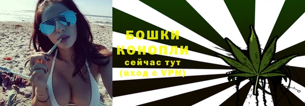 PSILOCYBIN Горнозаводск