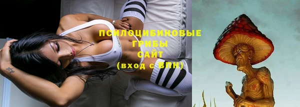 не бодяженный Гусев