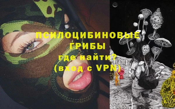 не бодяженный Гусев